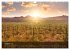 USA the wonderful Southwest (Wall... - Bild 3