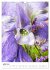 Joie avec des fleurs (Calendrier mural... - Bild 13