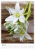Joie avec des fleurs (Calendrier mural... - Bild 10