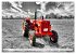 Tractors from past times (Wall Calendar... - Bild 13