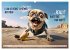 Crazy dogs COOL SAYINGS (Wall Calendar... - Bild 11