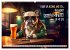 Crazy dogs COOL SAYINGS (Wall Calendar... - Bild 14