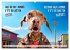 Crazy dogs COOL SAYINGS (Wall Calendar... - Bild 3