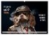 Crazy dogs COOL SAYINGS (Wall Calendar... - Bild 9