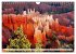 Bryce Canyon, Sunrise and Sunset points... - Bild 7