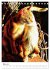 Umbrian Cats (Desk Calendar 2026 DIN A5... - Bild 11