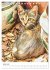Umbrian Cats (Desk Calendar 2026 DIN A5... - Bild 12