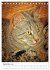 Umbrian Cats (Desk Calendar 2026 DIN A5... - Bild 15