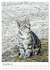 Umbrian Cats (Desk Calendar 2026 DIN A5... - Bild 4