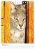 Umbrian Cats (Desk Calendar 2026 DIN A5... - Bild 8