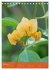 Mexican Garden Flowers - Aguascalientes... - Bild 11