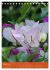 Mexican Garden Flowers - Aguascalientes... - Bild 14