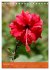 Mexican Garden Flowers - Aguascalientes... - Bild 5