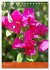 Mexican Garden Flowers - Aguascalientes... - Bild 8