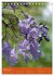 Mexican Garden Flowers - Aguascalientes... - Bild 9