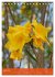 Mexican Garden Flowers - Aguascalientes... - Bild 10
