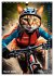 Outdoor sports for cats (Wall Calendar... - Bild 9