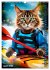 Outdoor sports for cats (Wall Calendar... - Bild 10