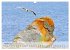 Collection Terre BRETAGNE (Calendrier... - Bild 8