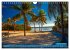 Colorful Miami (Wall Calendar 2026 DIN... - Bild 14