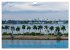 Colorful Miami (Wall Calendar 2026 DIN... - Bild 3