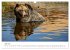 Wild Canada (Wall Calendar 2026 DIN A3... - Bild 13