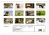 Wild Canada (Wall Calendar 2026 DIN A3... - Bild 6