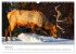 Wild Canada (Wall Calendar 2026 DIN A3... - Bild 9