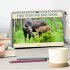 FIRST STEPS FOR BABY MOOSE (Desk... - Bild 2