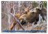 FIRST STEPS FOR BABY MOOSE (Desk... - Bild 11