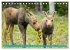 FIRST STEPS FOR BABY MOOSE (Desk... - Bild 13