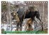 FIRST STEPS FOR BABY MOOSE (Desk... - Bild 8