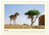 Great impressions of INDIA featuring... - Bild 12