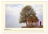 Great impressions of INDIA featuring... - Bild 15
