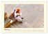 Great impressions of INDIA featuring... - Bild 8