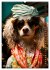 Stylish Dogs (High Quality Premium Wall... - Bild 2