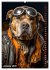 Stylish Dogs (High Quality Premium Wall... - Bild 6