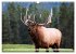 Canada - Landscapes from Banff and... - Bild 3