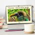 Toucans - clowns of the jungle (Desk... - Bild 2