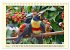 Toucans - clowns of the jungle (Desk... - Bild 13