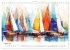 Voiles au gré du temps (Calendrier... - Bild 9