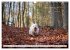 West Highland White Terrier - Your... - Bild 4