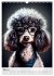Hipster Dogs (Wall Calendar 2026 DIN A3... - Bild 11