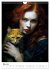 Purrrfect Companions (Wall Calendar... - Bild 11