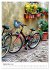 A Year Of Bicycles (Desk Calendar 2026... - Bild 15