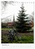 A Year Of Bicycles (Desk Calendar 2026... - Bild 5