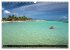 Guadeloupe (Calendrier mural 2026 DIN... - Bild 11