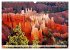 Bryce Canyon, Sunrise and Sunset points... - Bild 7