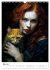 Purrrfect Companions (Wall Calendar... - Bild 11