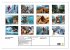 Epic Adrenaline Moments (Wall Calendar... - Bild 6